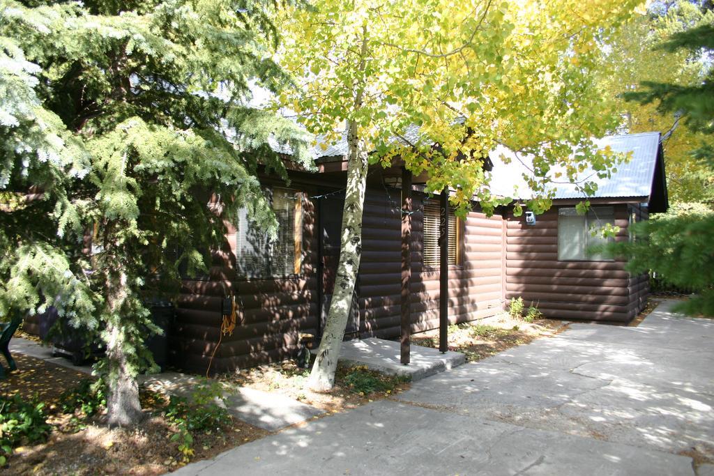 Yellowstone Wildlife Cabins Уест Йелоустоун Екстериор снимка